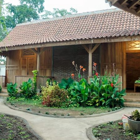بانيووانجى Pinarak Homestay المظهر الخارجي الصورة
