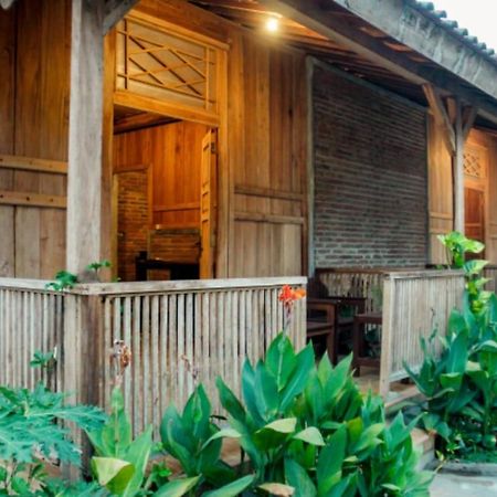 بانيووانجى Pinarak Homestay المظهر الخارجي الصورة