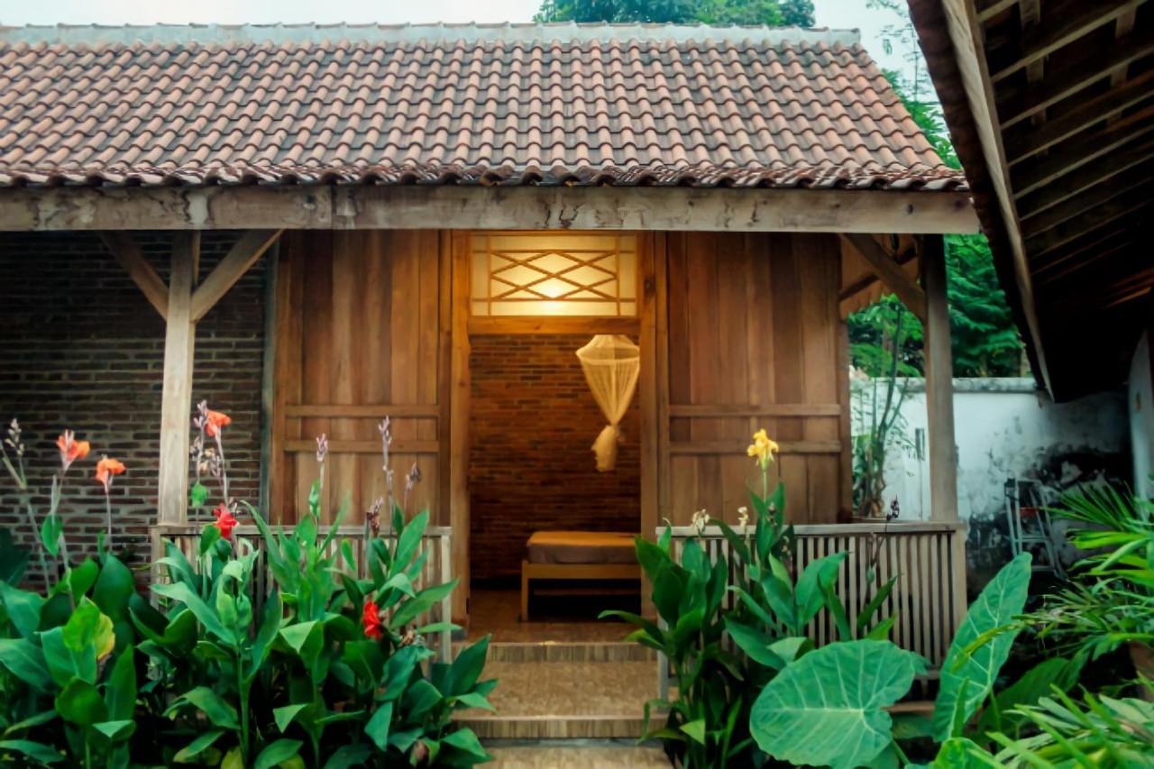 بانيووانجى Pinarak Homestay المظهر الخارجي الصورة